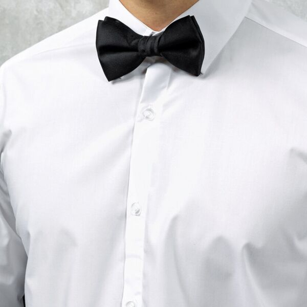 Bow tie - fc Thumbnail
